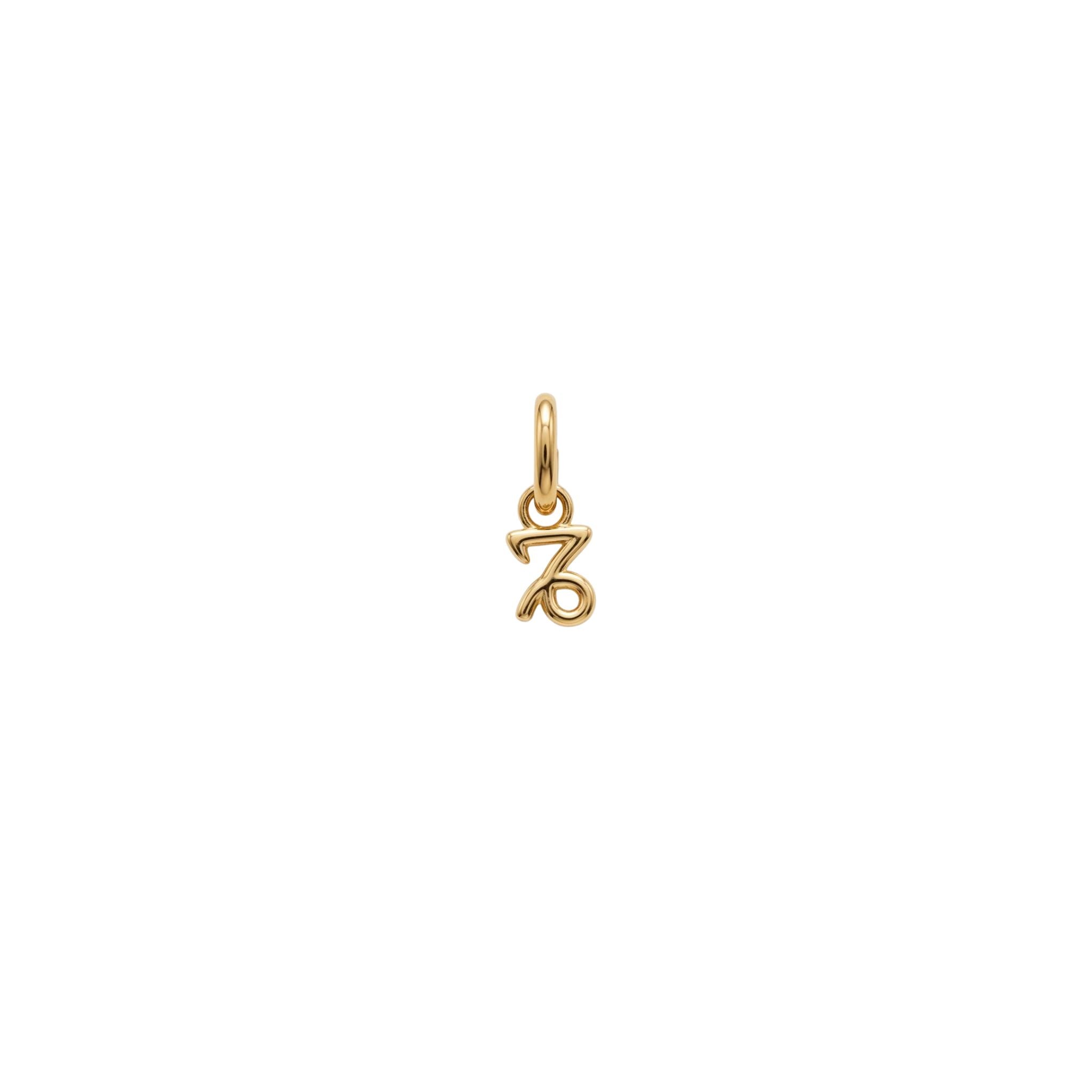 The Zodiac Charm - Goud