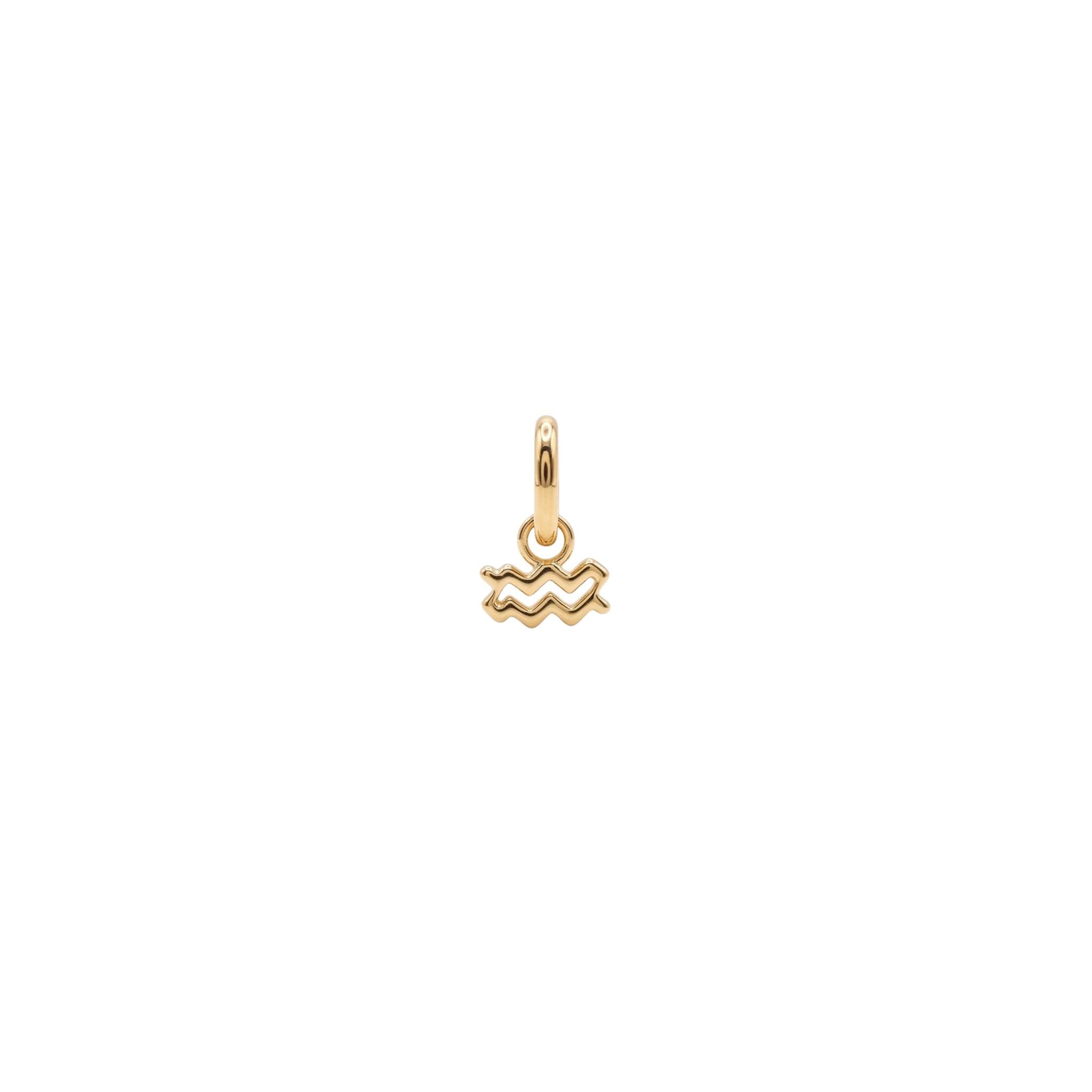 The Zodiac Charm - Goud