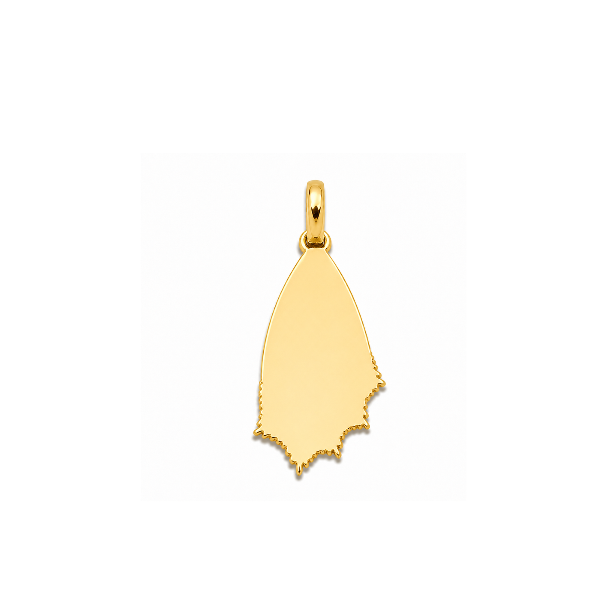 Wing Charm Set