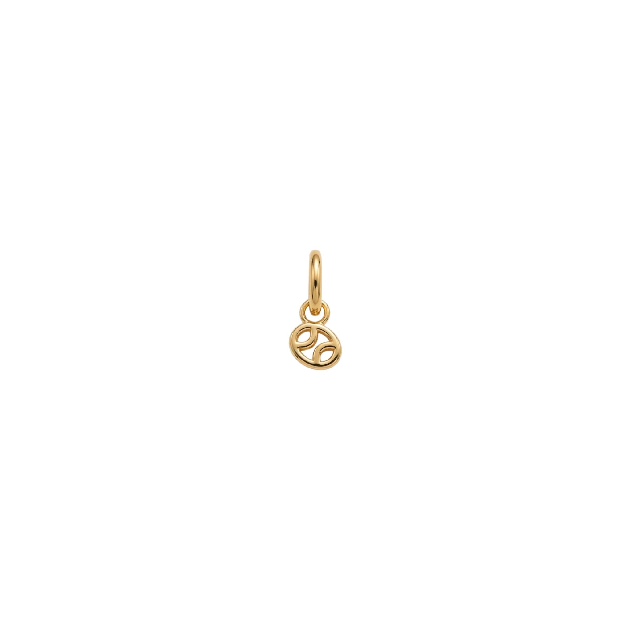 The Zodiac Charm - Goud