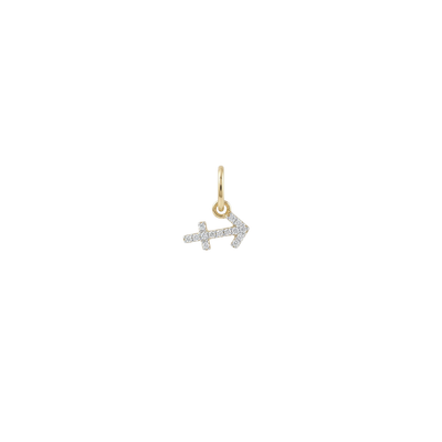Diamond Zodiac Charm