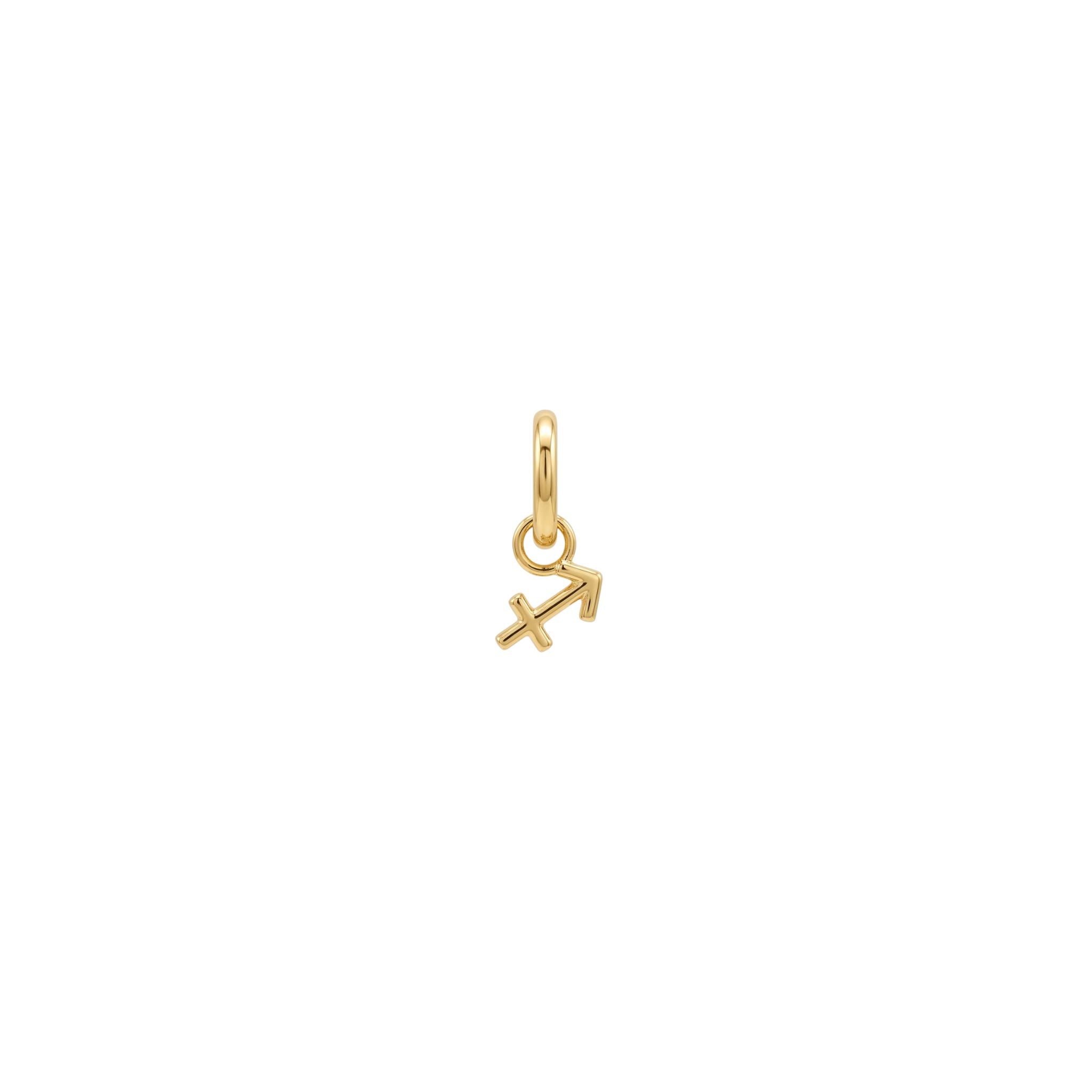 The Zodiac Charm - Goud