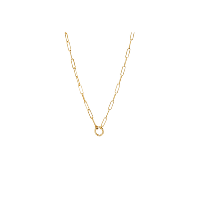 Collier du chapitre informatique-Goud