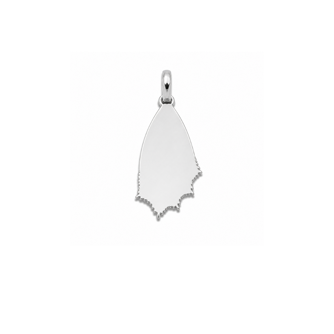 Wing Charm Set