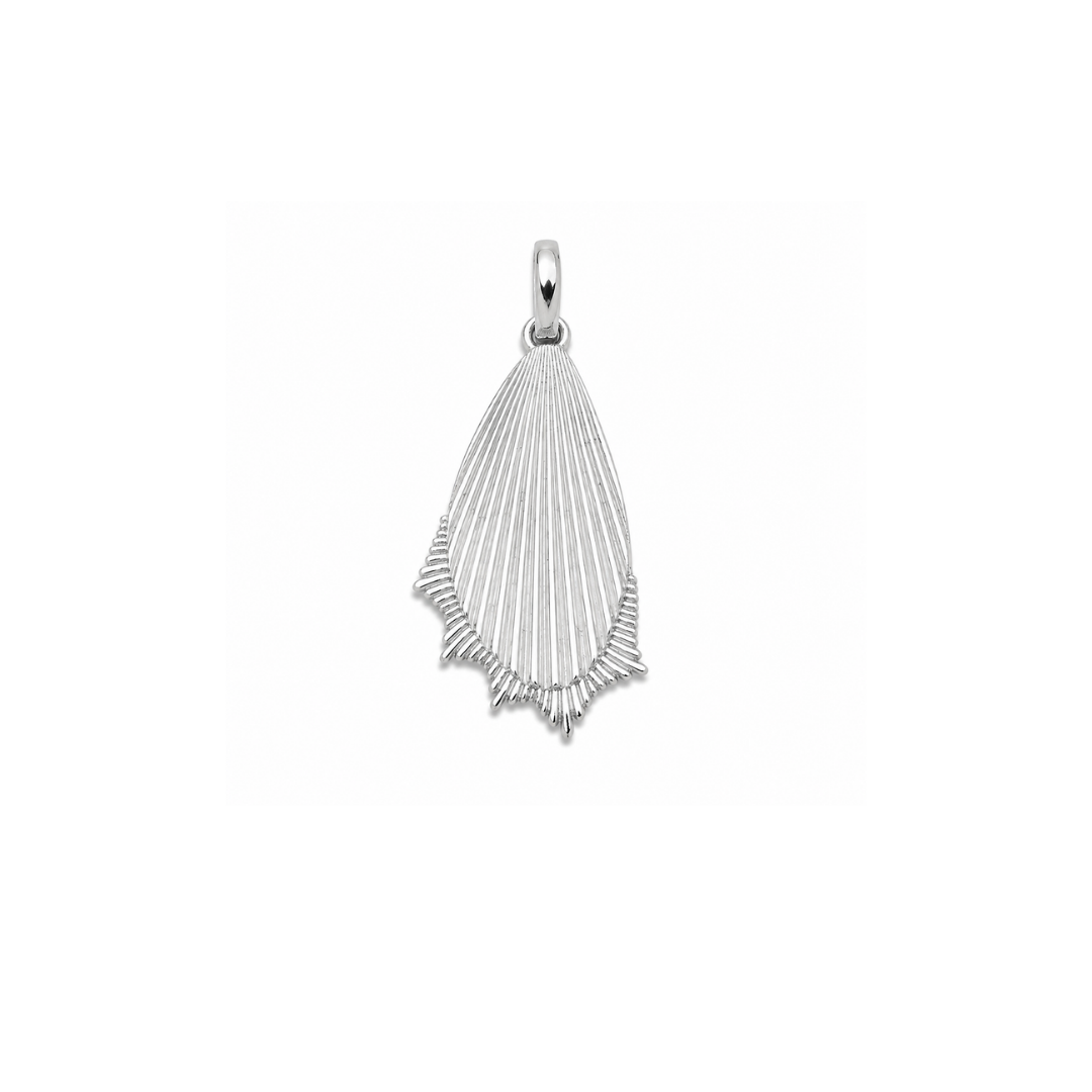 Wing Charm Set