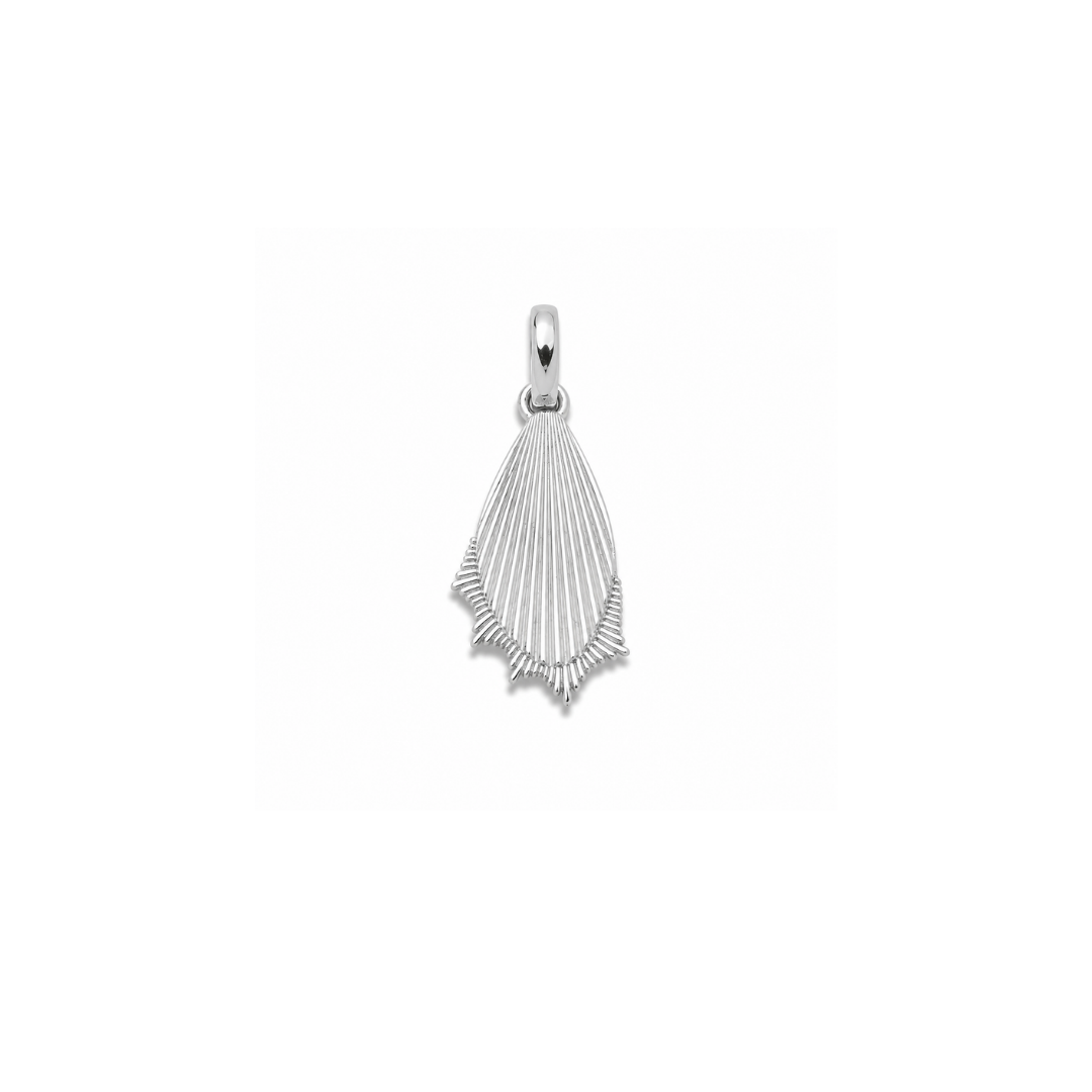 Wing Charm Set